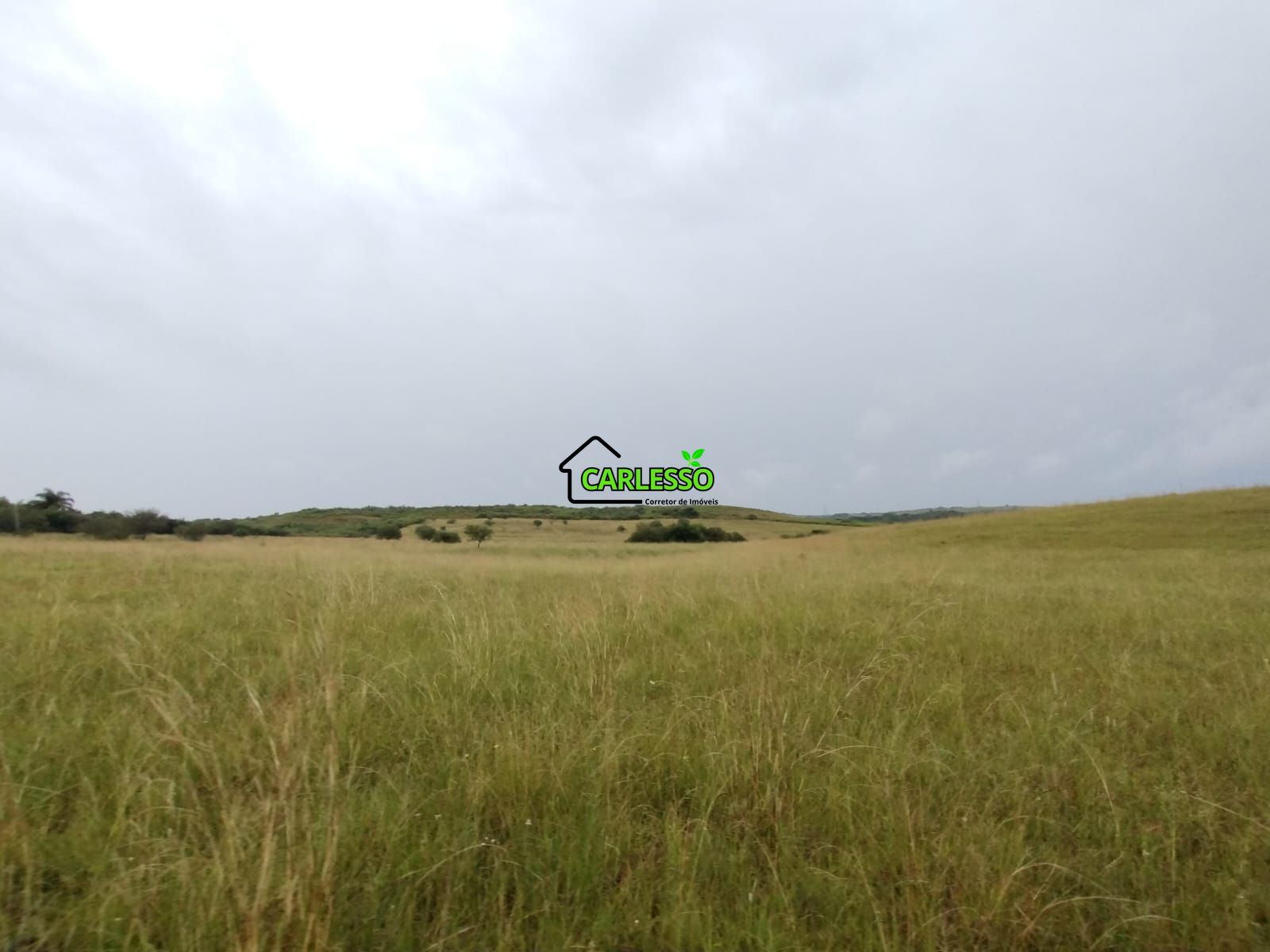 Fazenda de 80 ha em Alegrete