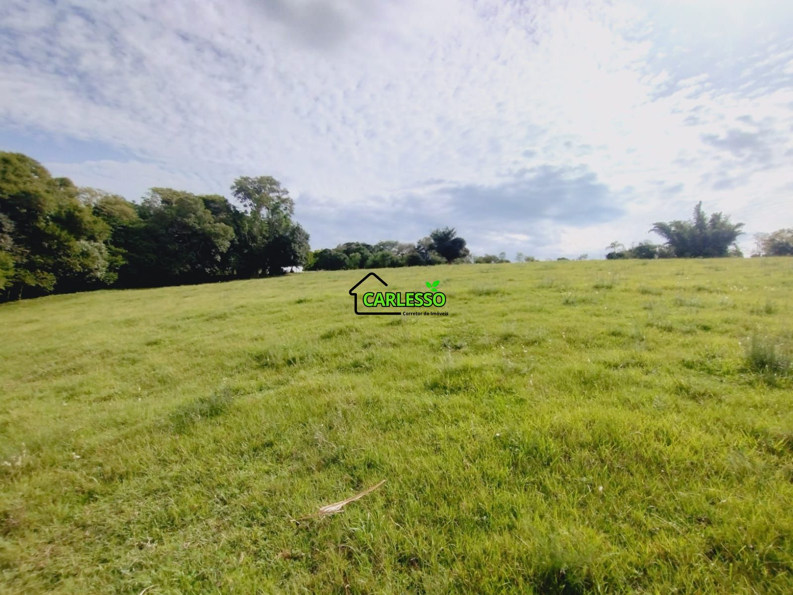 Sítio, 3 quartos, 4 hectares - Foto 46