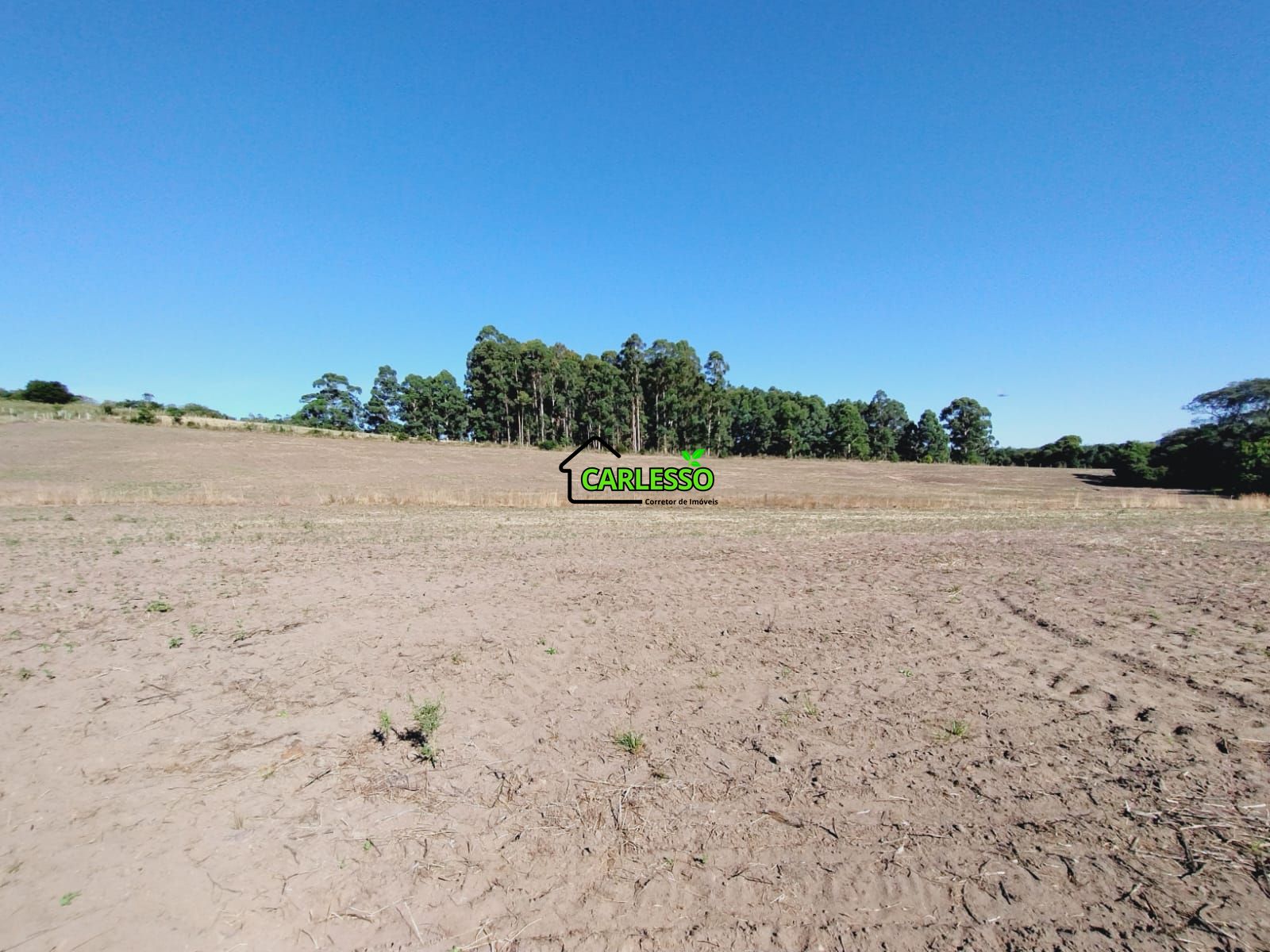 Sítio, 9 hectares - Foto 11