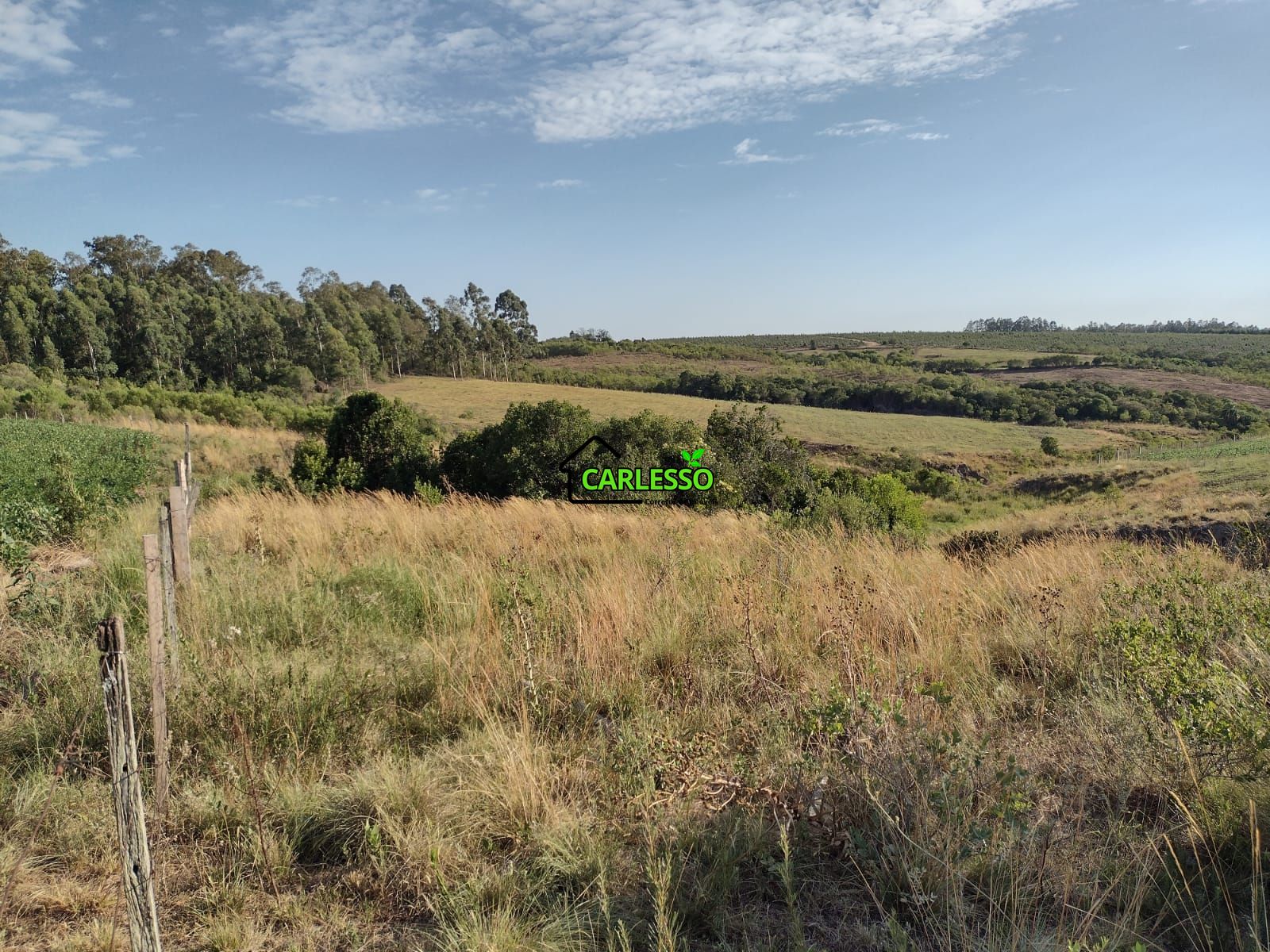 Fazenda com 63 ha