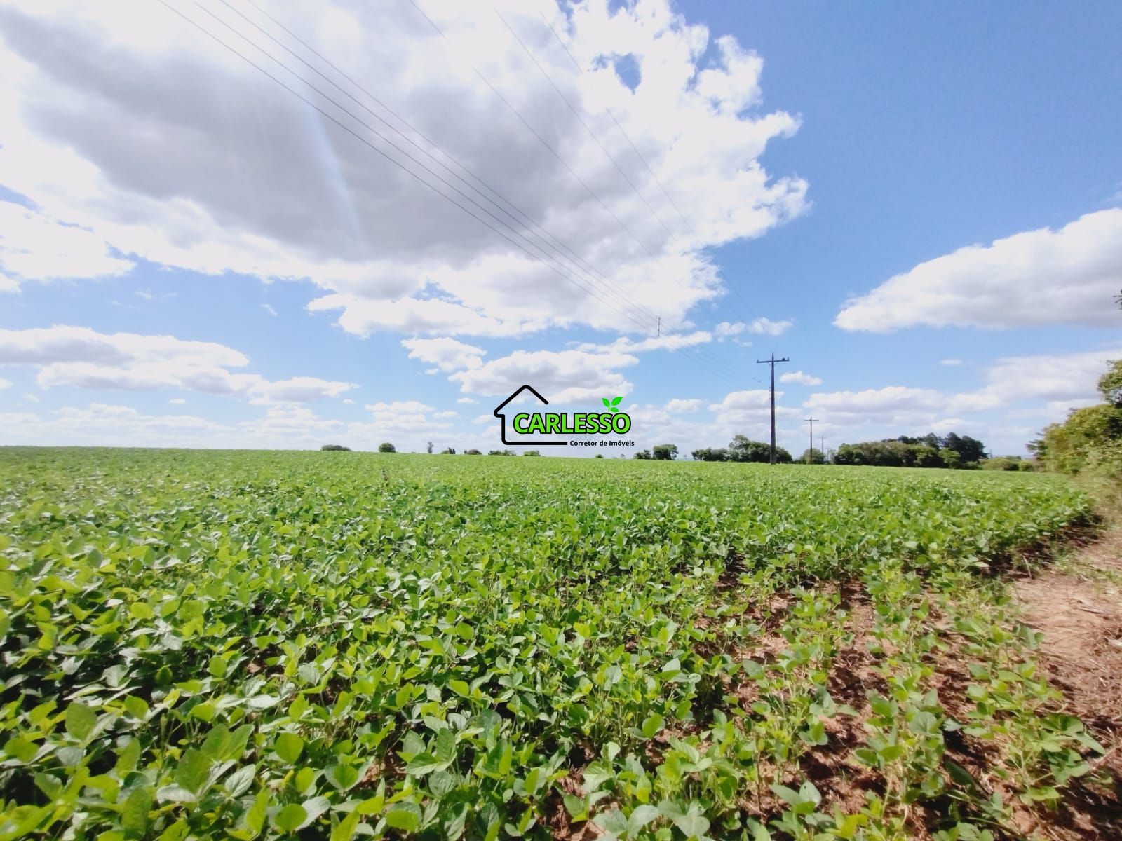 Sítio, 25 hectares - Foto 49