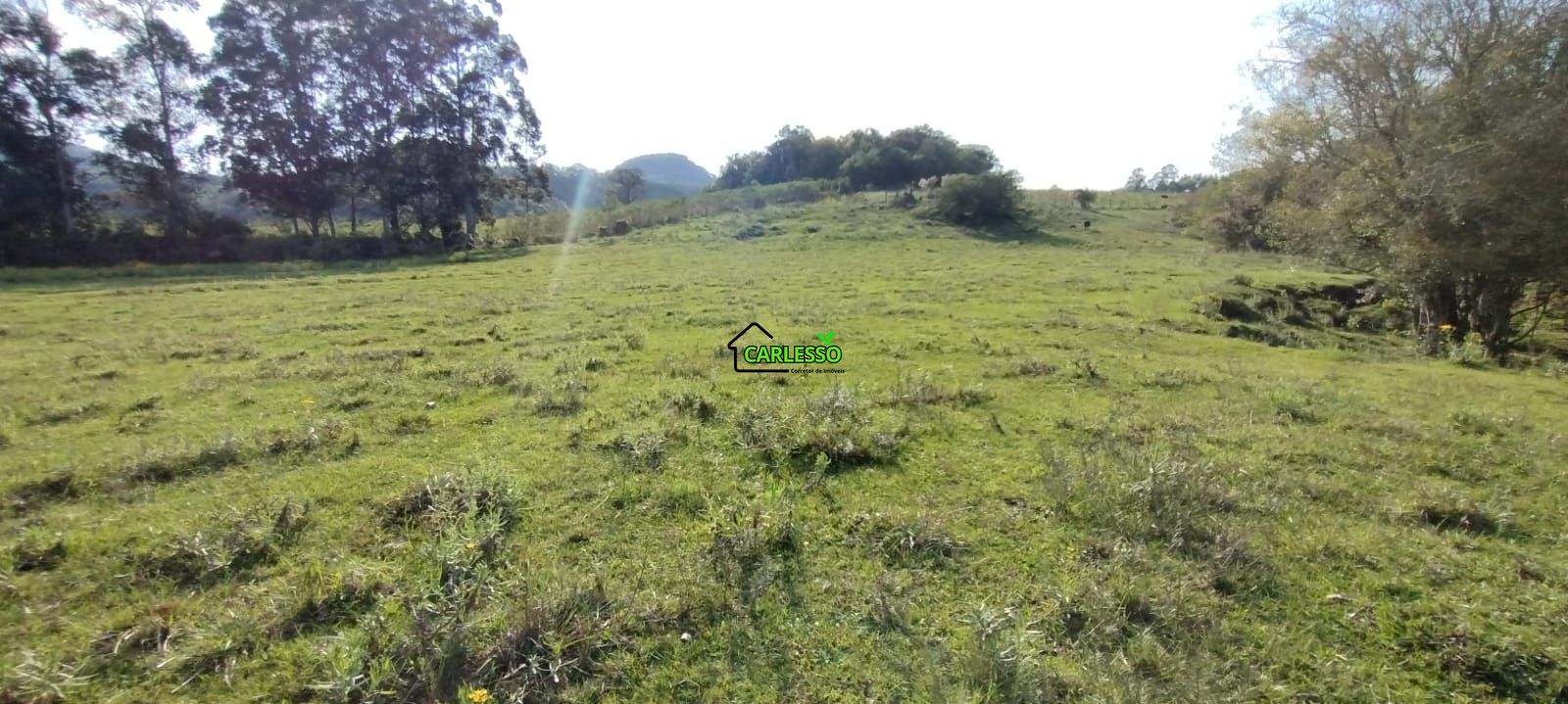 Área rural de 5 ha