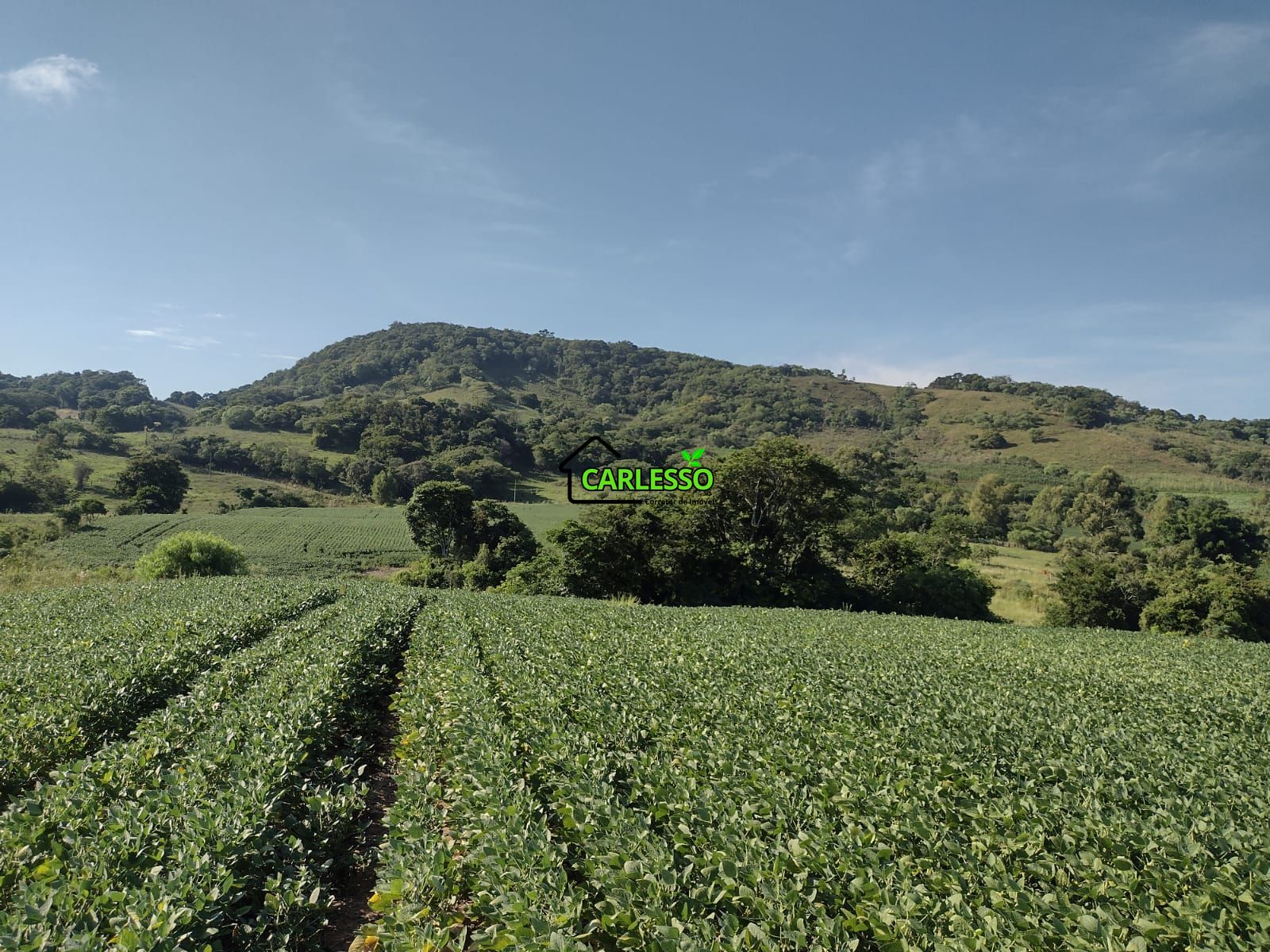 Área de 8,5 ha a venda