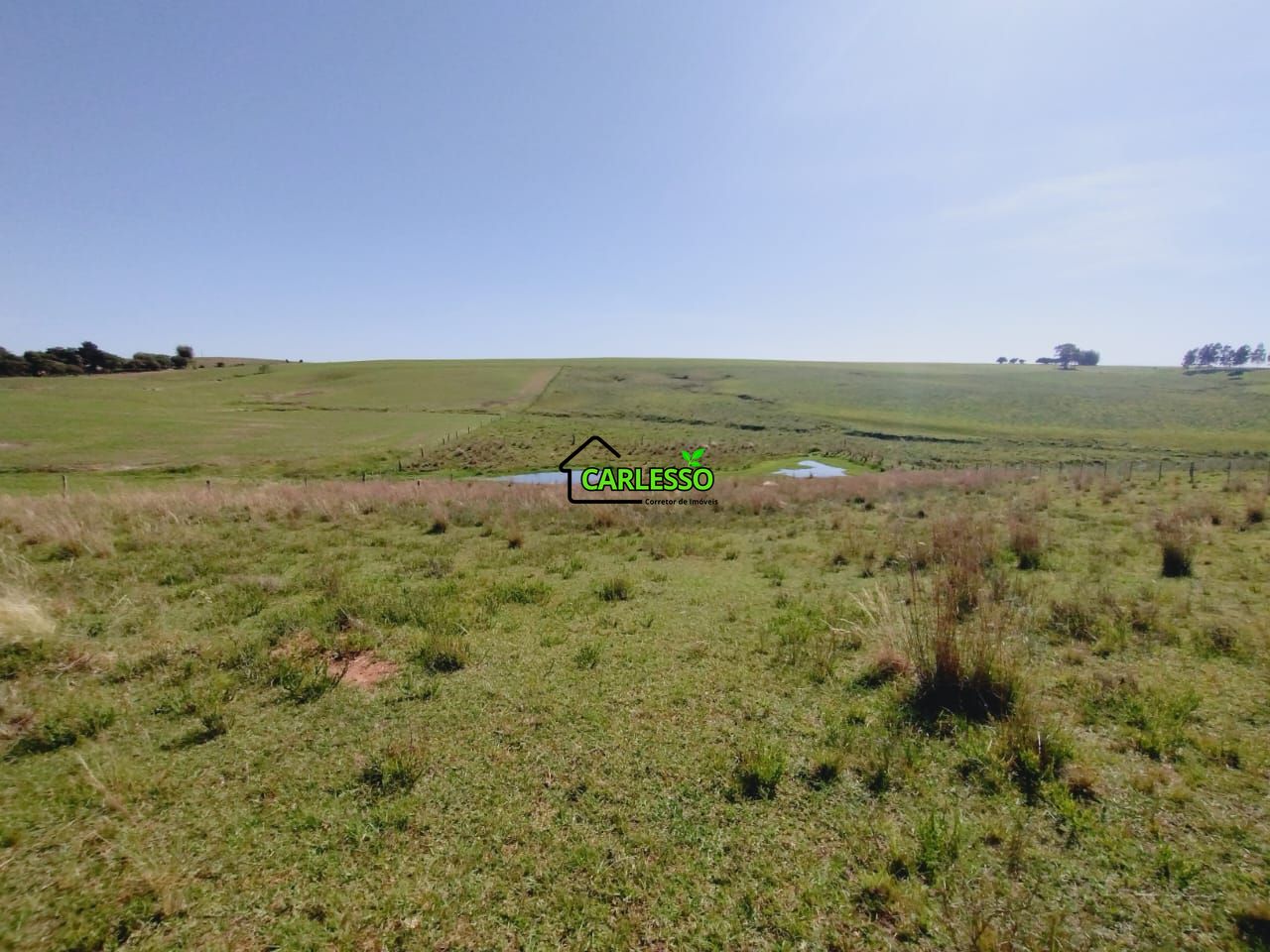 Chácara, 2 quartos, 2 hectares - Foto 49