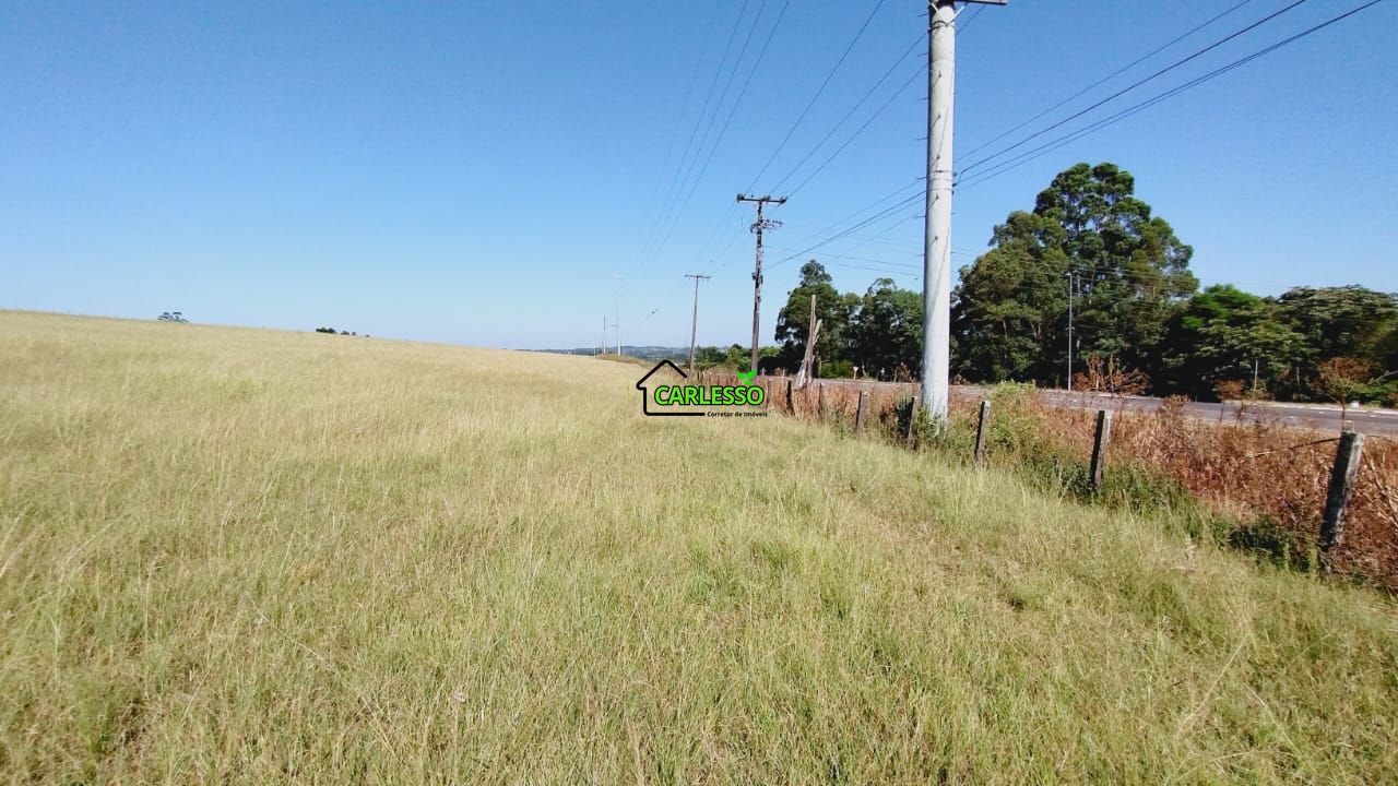 Terreno, 9 hectares - Foto 11