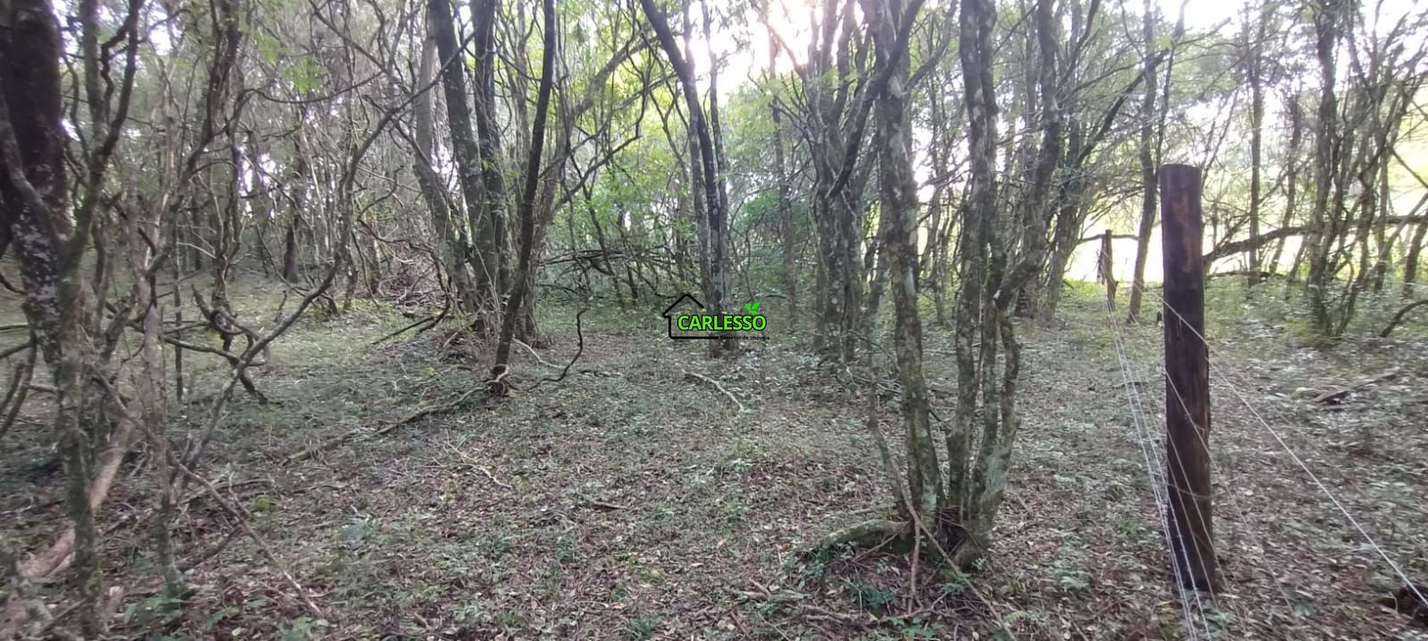 Área rural de 5 ha