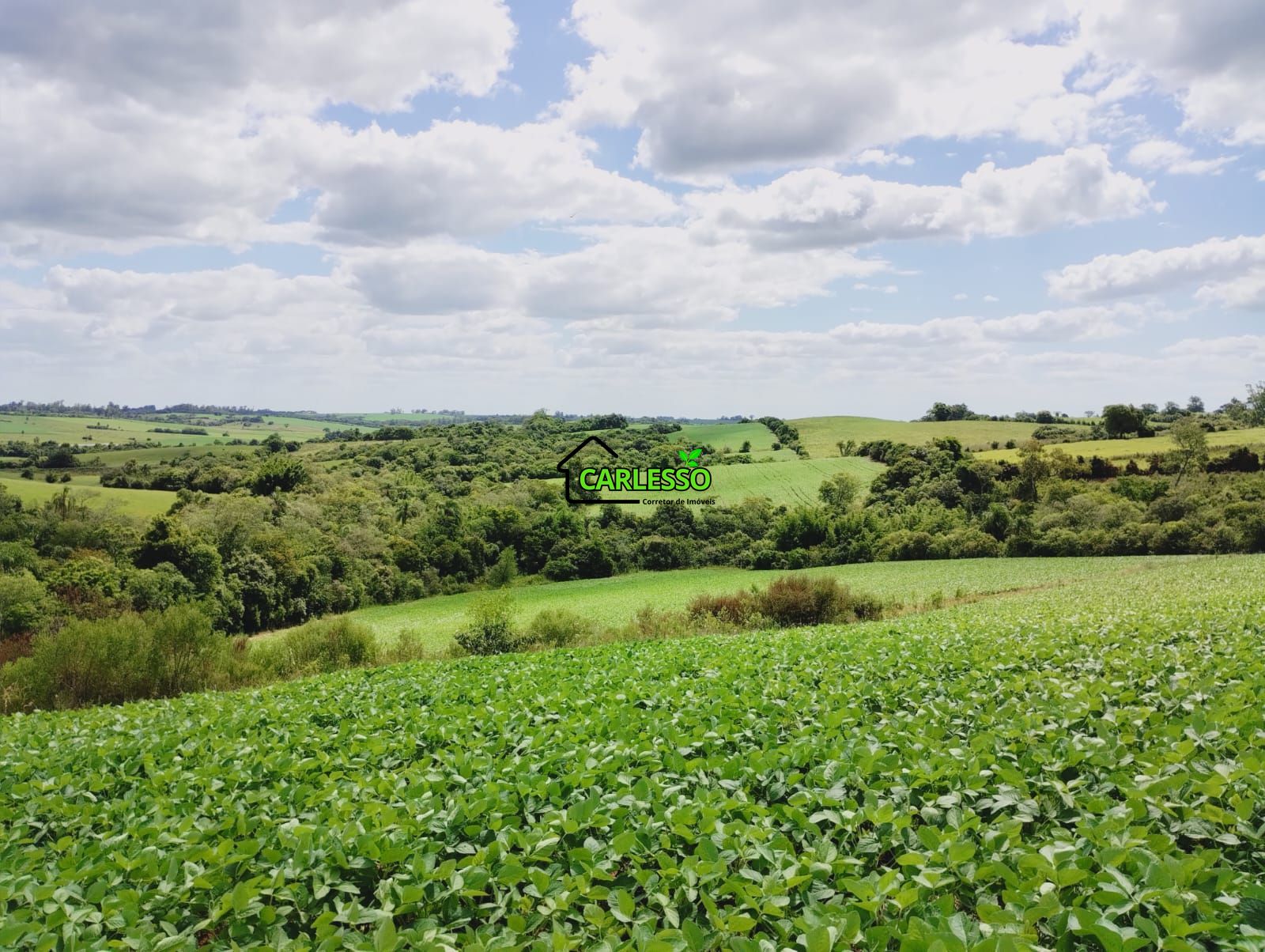 Sítio, 25 hectares - Foto 14