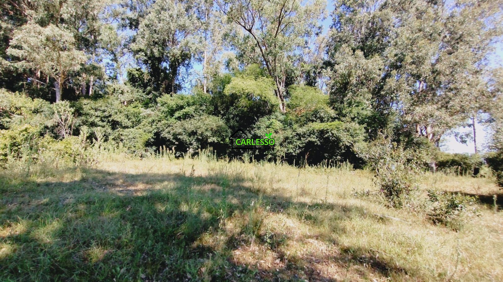 Sítio, 2 quartos, 7 hectares - Foto 44