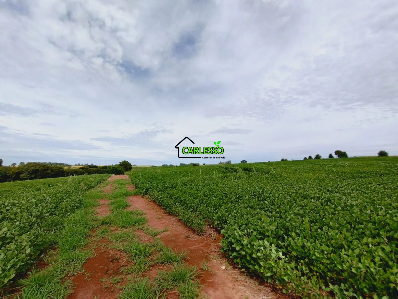 Sítio, 3 quartos, 25 hectares - Foto 48