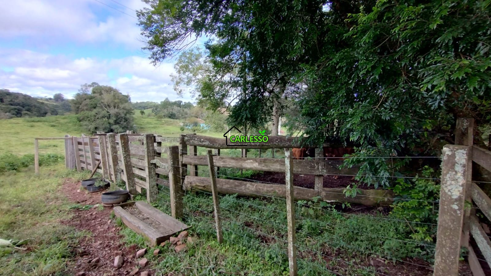 Área rural de 6 ha