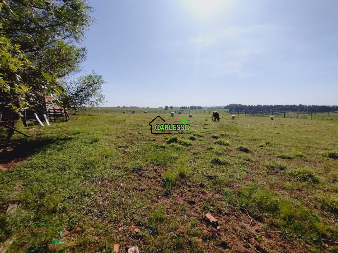 Chácara, 2 quartos, 2 hectares - Foto 16