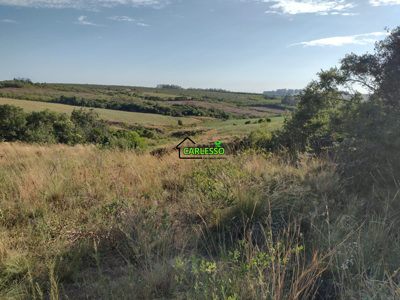 Fazenda com 63 ha