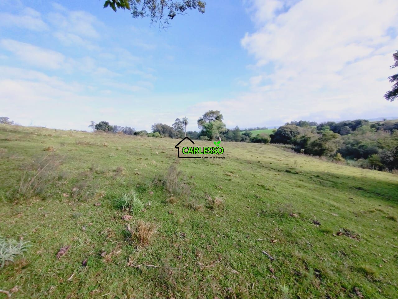 Chácara, 9 hectares - Foto 31