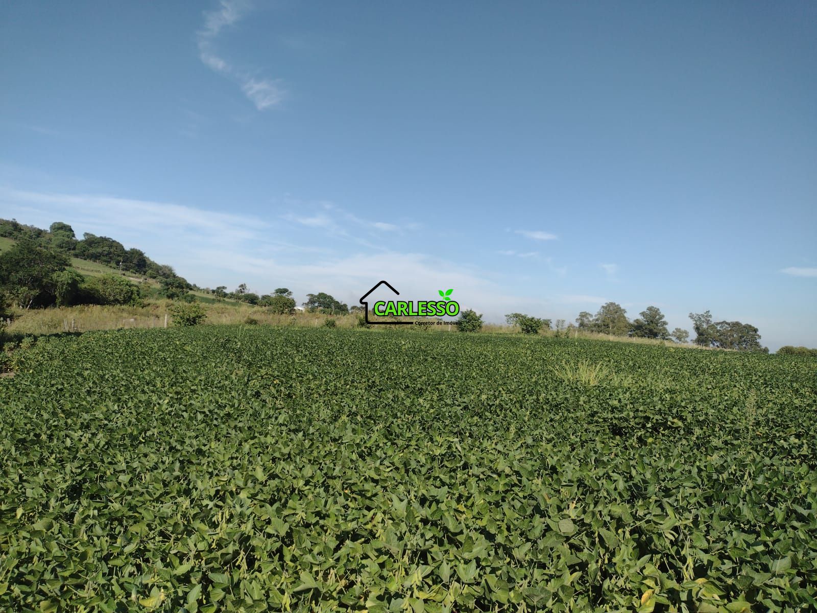 Área de 8,5 ha a venda