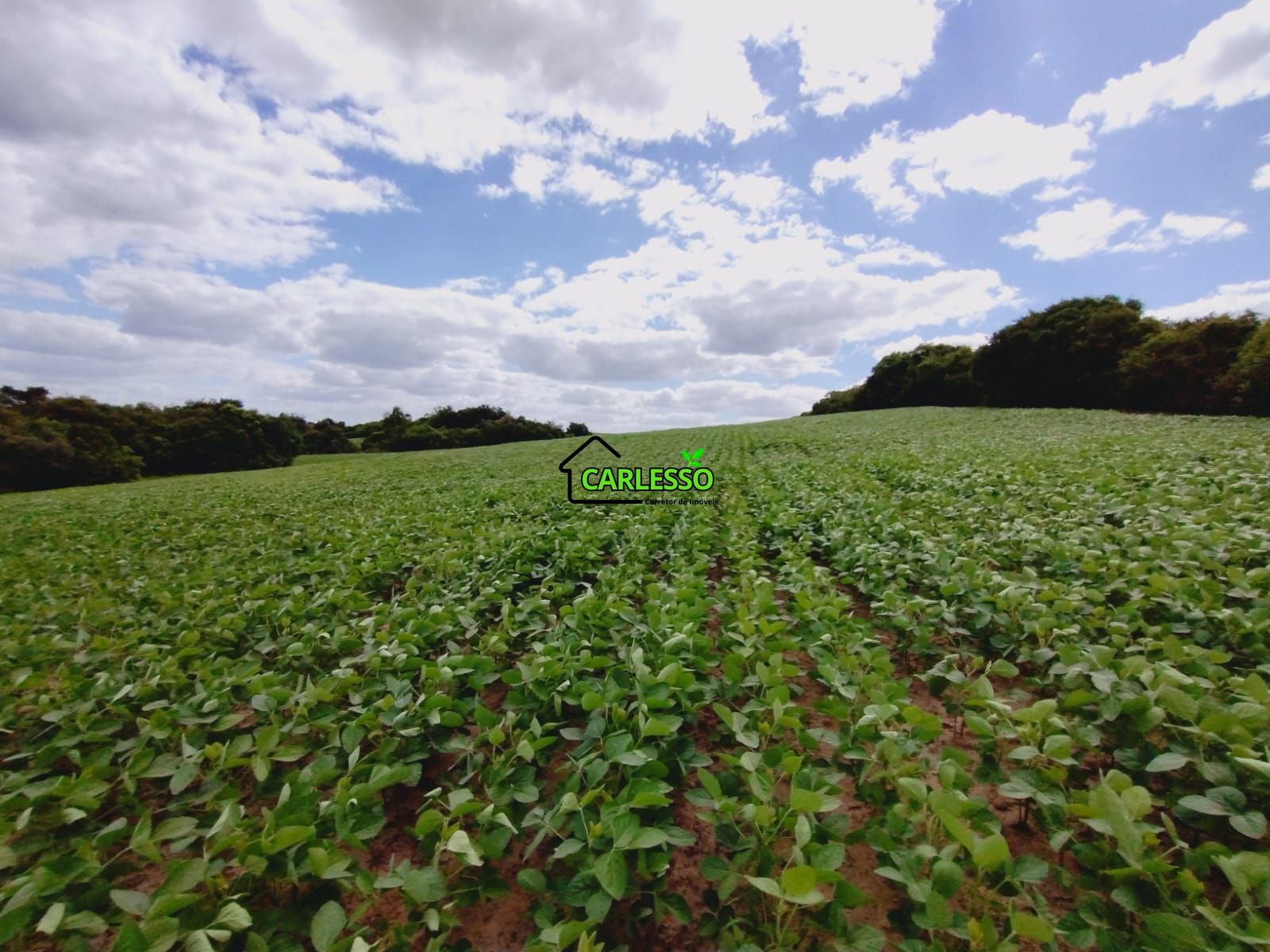 Sítio, 25 hectares - Foto 22