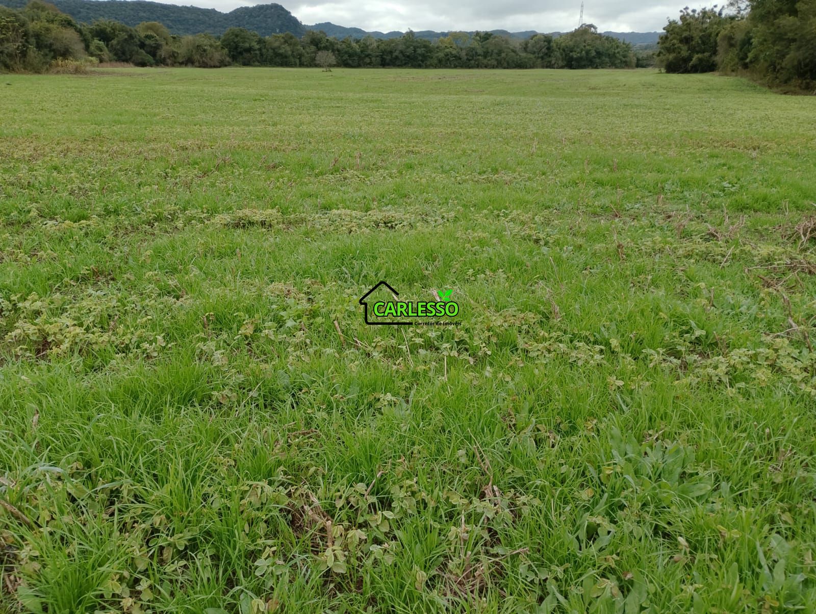 Sítio, 6 hectares - Foto 8