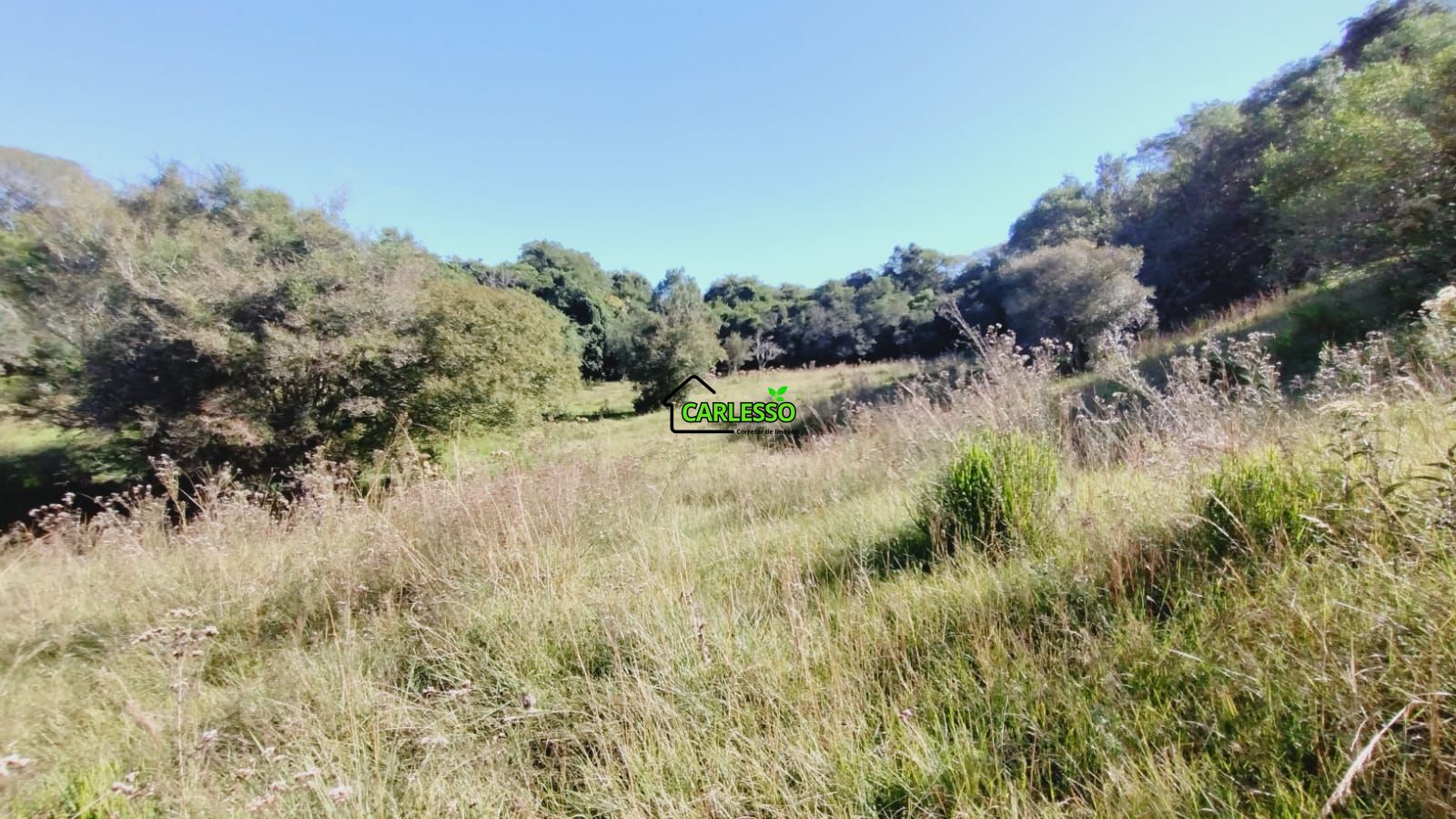 Área rural de 28 ha