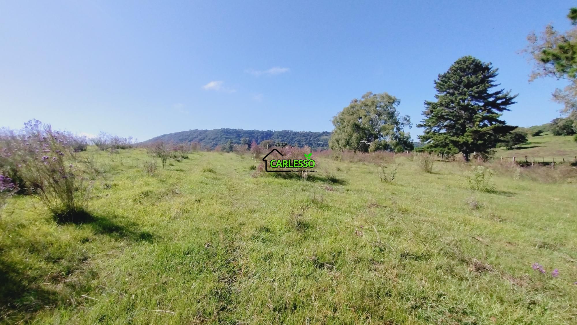 Sítio, 18 hectares - Foto 3