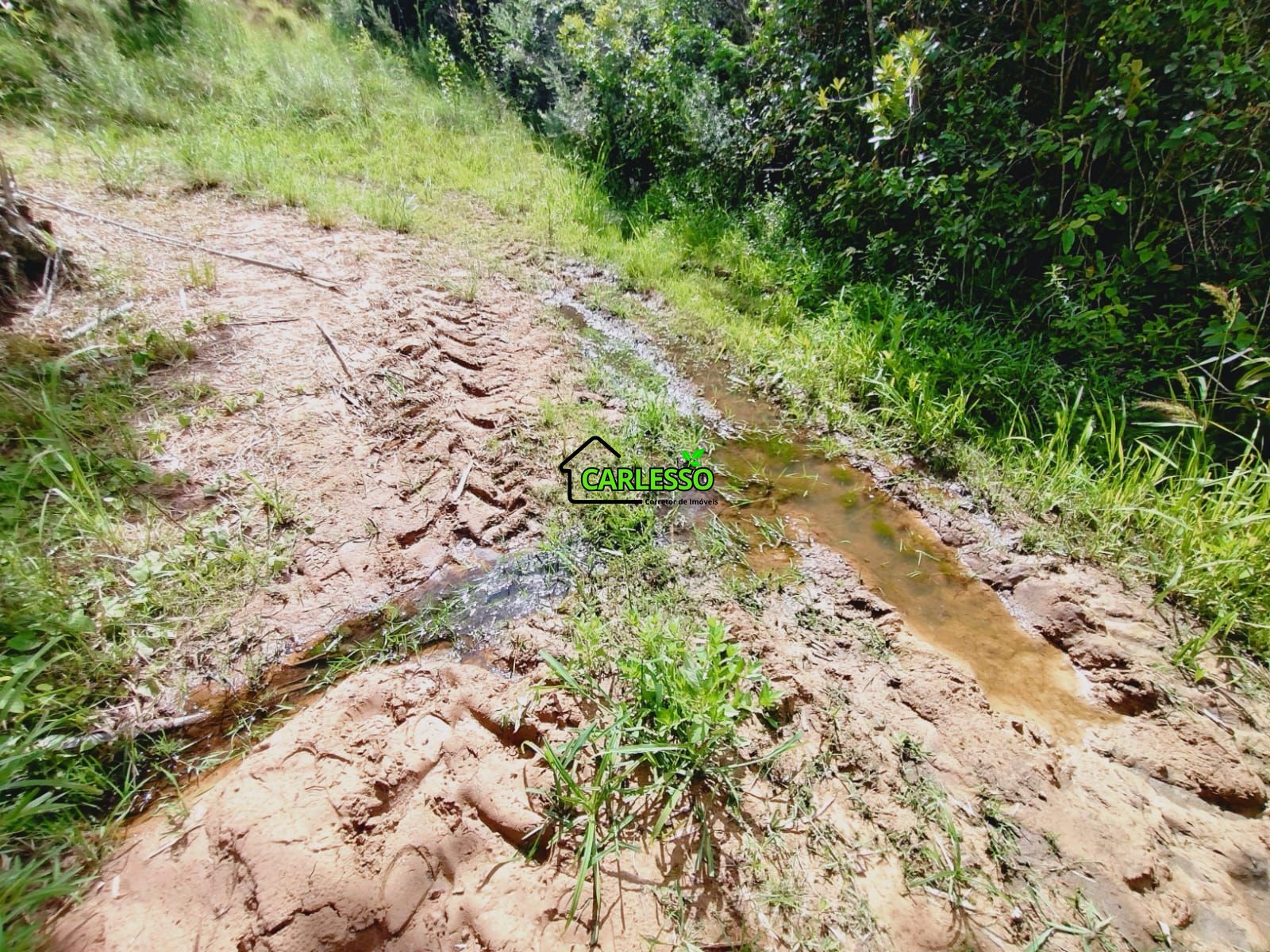 Sítio, 25 hectares - Foto 61