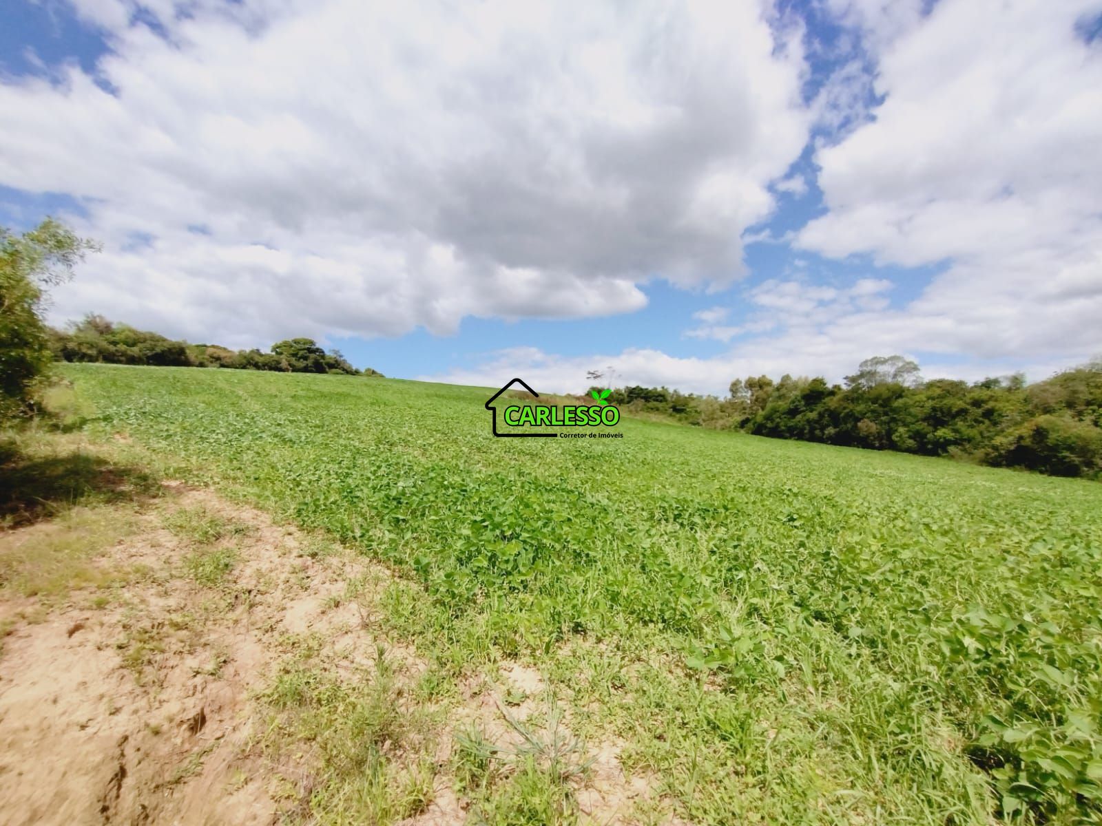 Sítio, 25 hectares - Foto 28