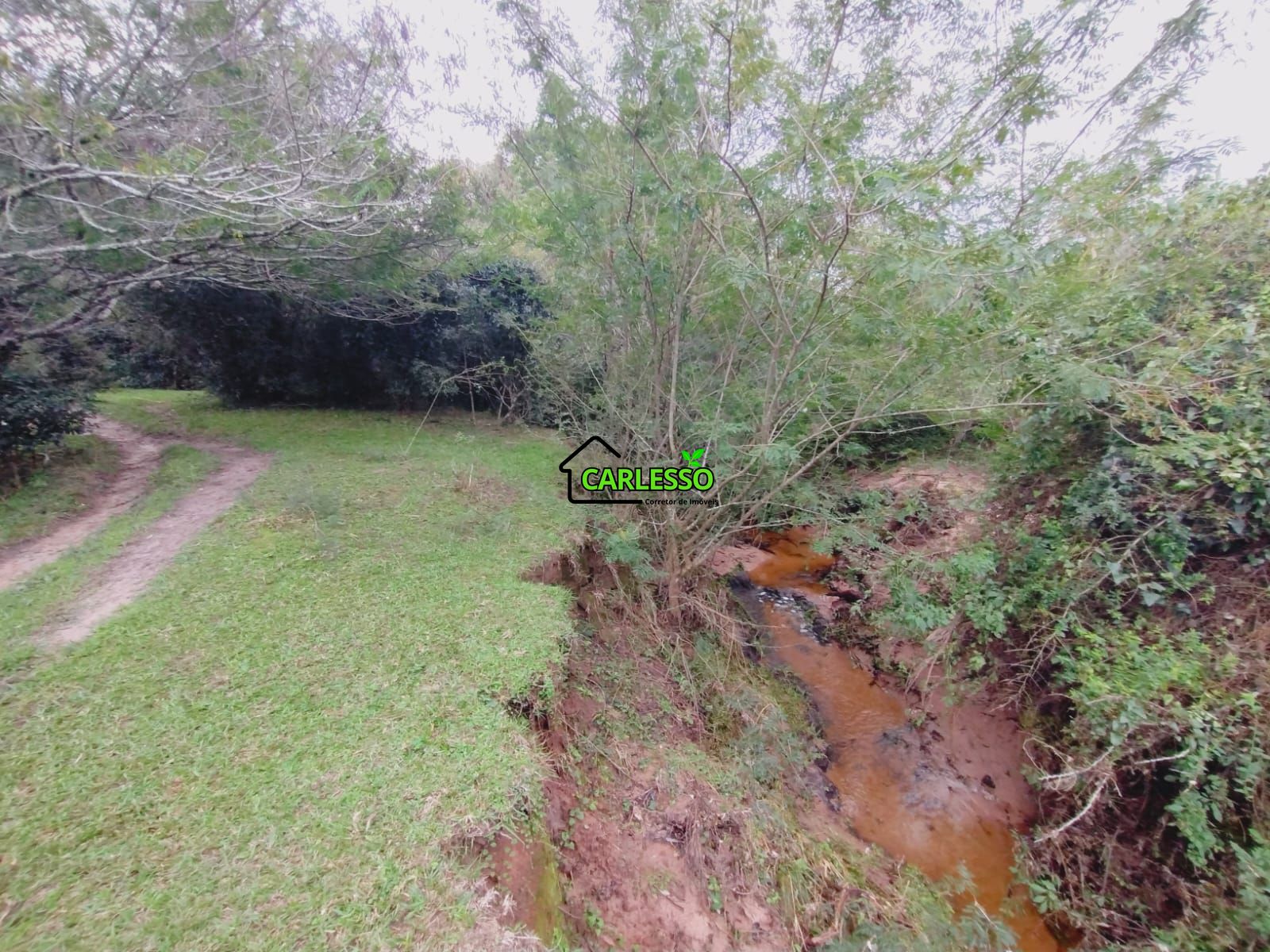 Terreno, 6 hectares - Foto 13