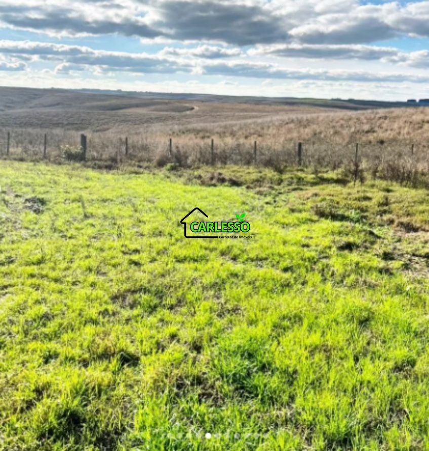 Fazenda, 156 hectares - Foto 9