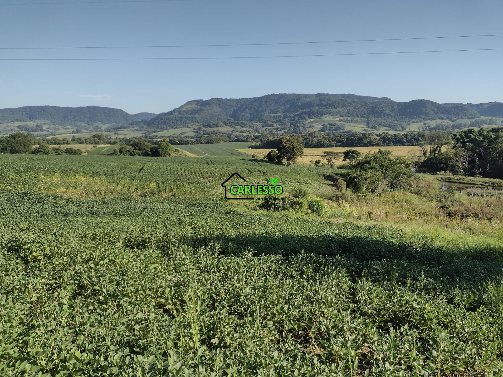 Área de 8,5 ha a venda