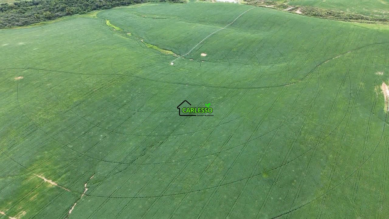 Fazenda a venda