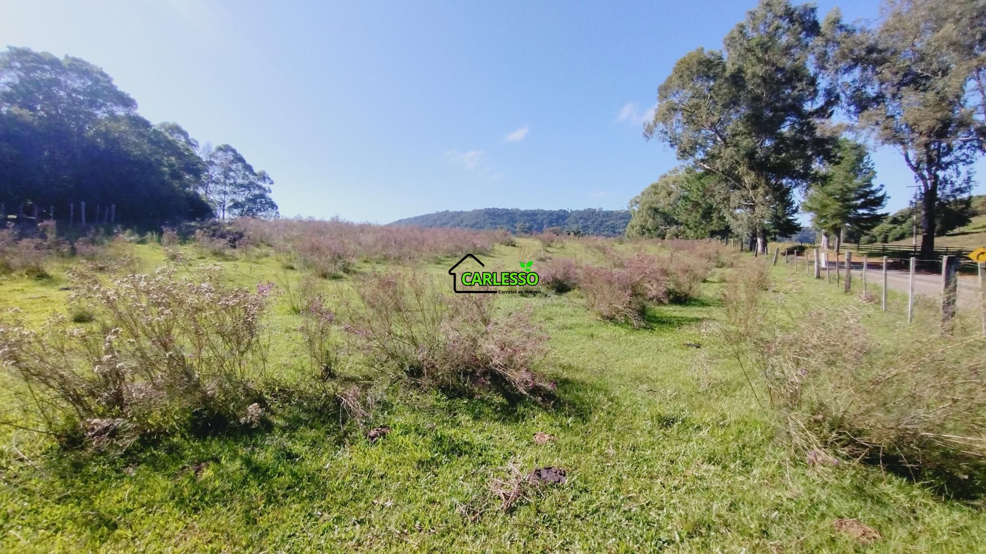 Sítio, 18 hectares - Foto 1