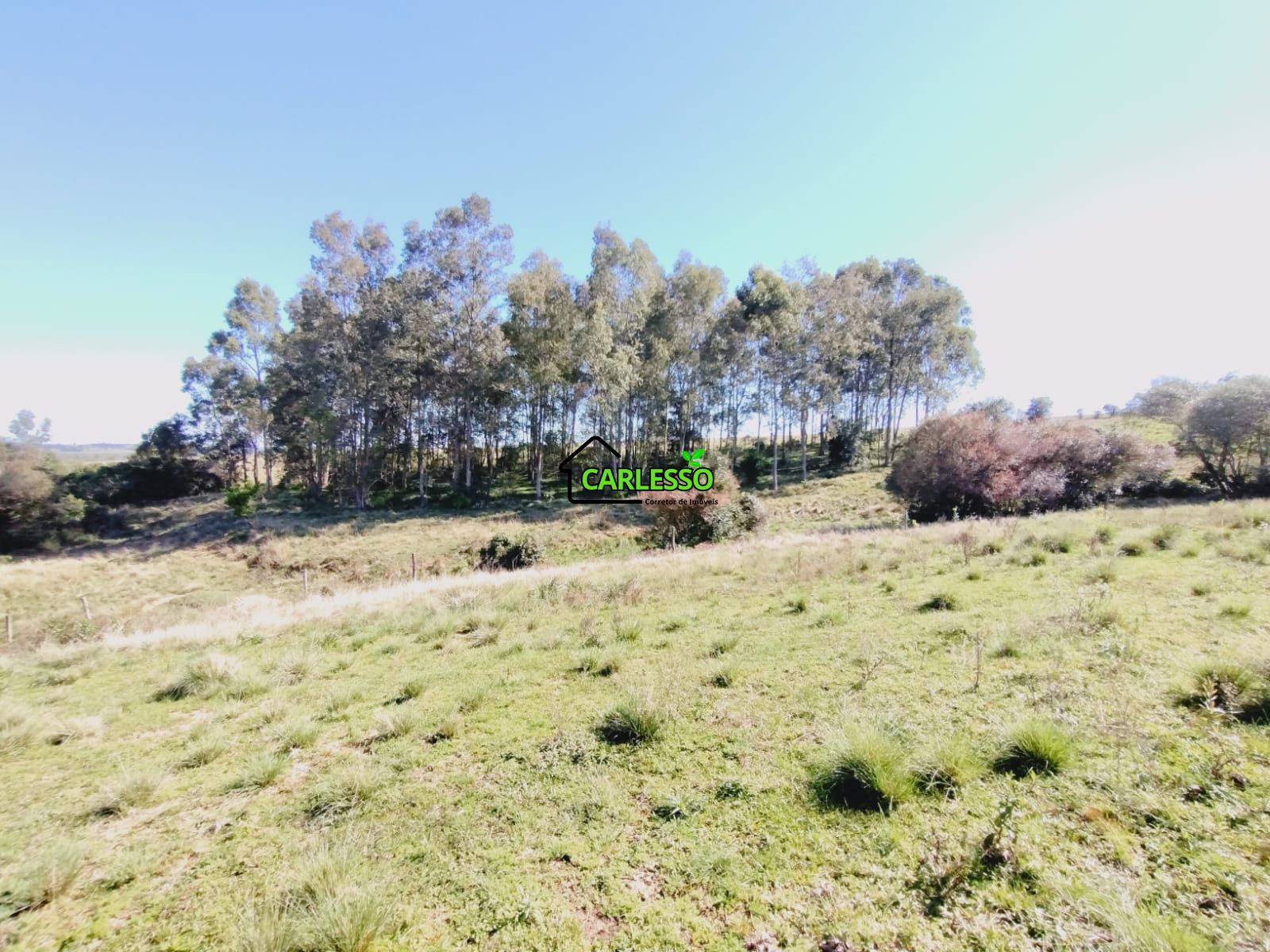 Chácara, 3 quartos, 12 hectares - Foto 29