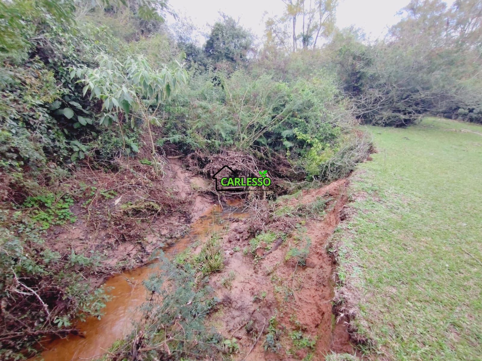 Terreno, 6 hectares - Foto 15