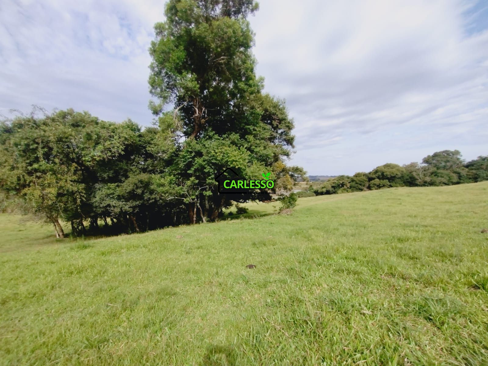 Sítio, 3 quartos, 4 hectares - Foto 40