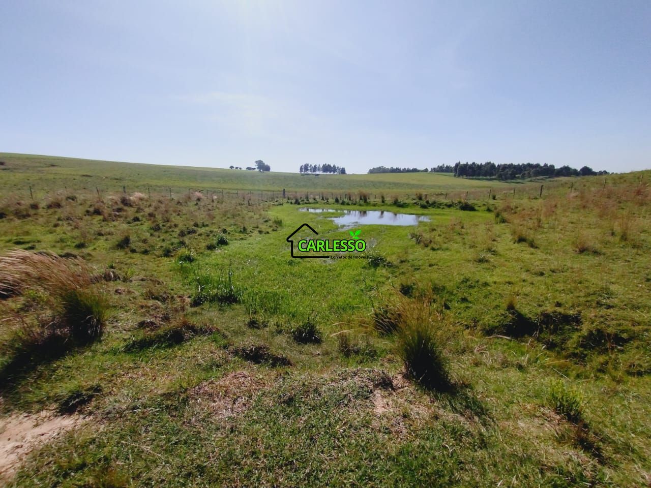 Chácara, 2 quartos, 2 hectares - Foto 57