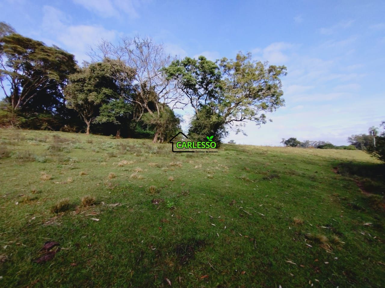 Chácara, 9 hectares - Foto 21