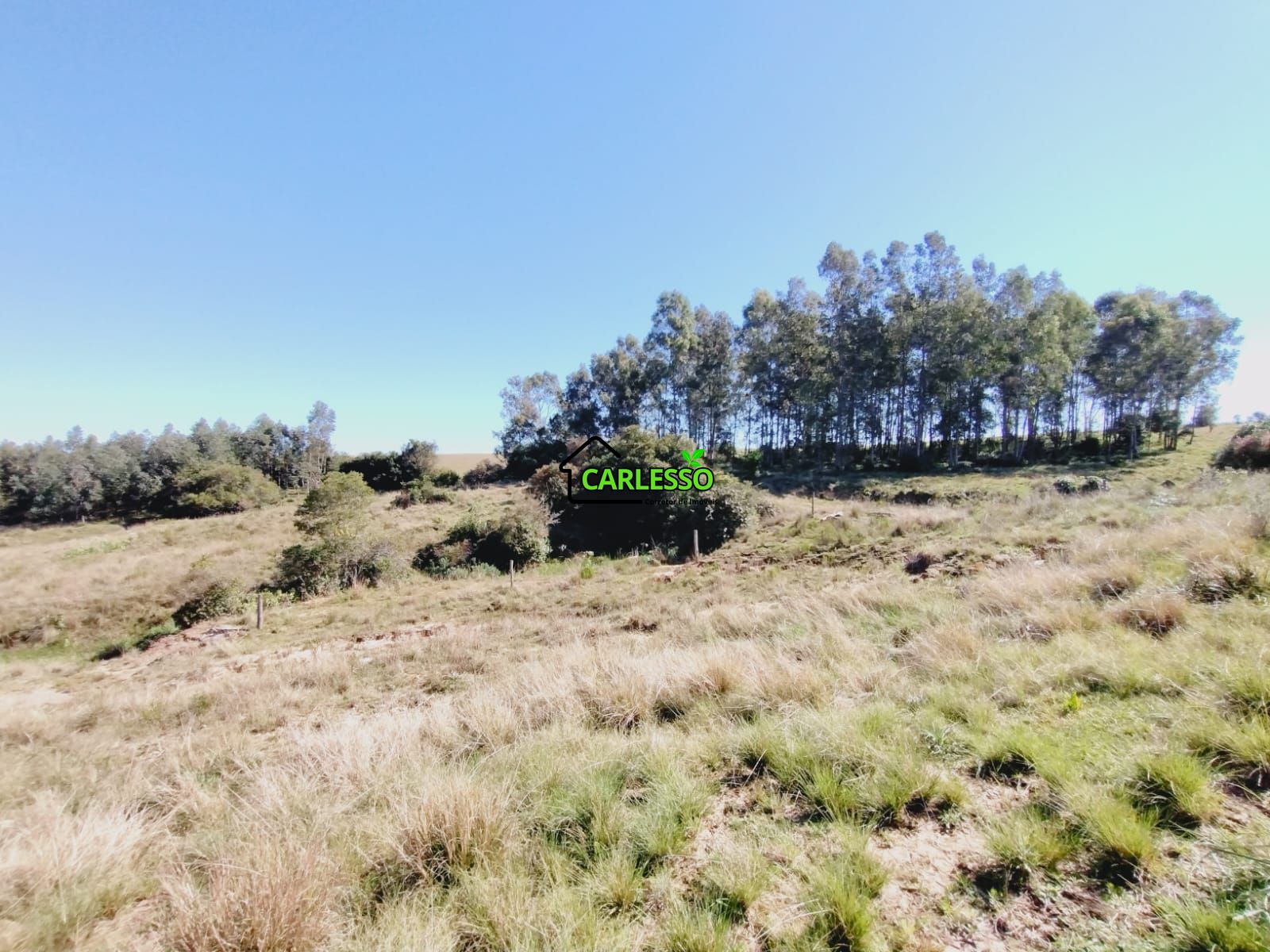 Chácara, 3 quartos, 12 hectares - Foto 35