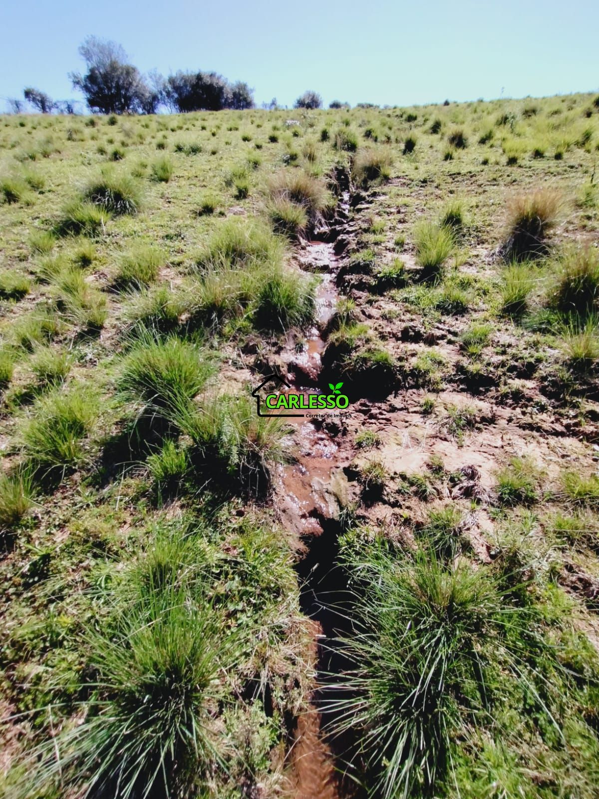 Chácara, 3 quartos, 12 hectares - Foto 37