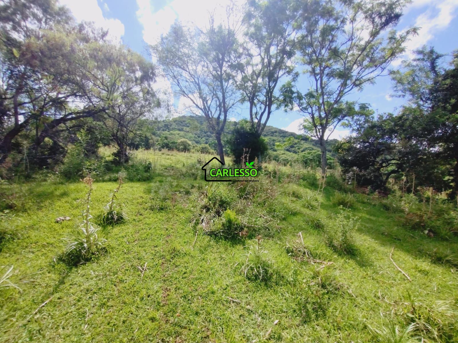 Sítio, 23 hectares - Foto 30