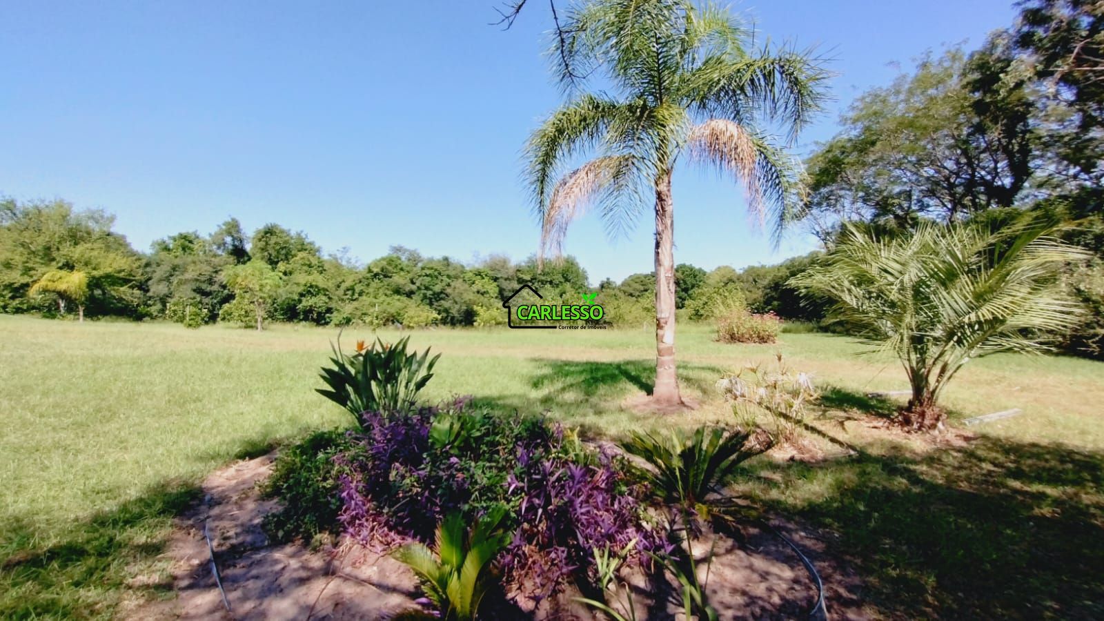 Sítio, 2 quartos, 7 hectares - Foto 41