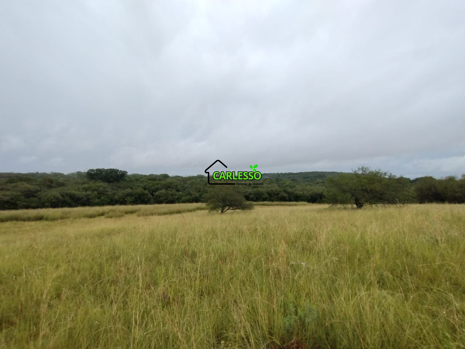 Fazenda de 80 ha em Alegrete