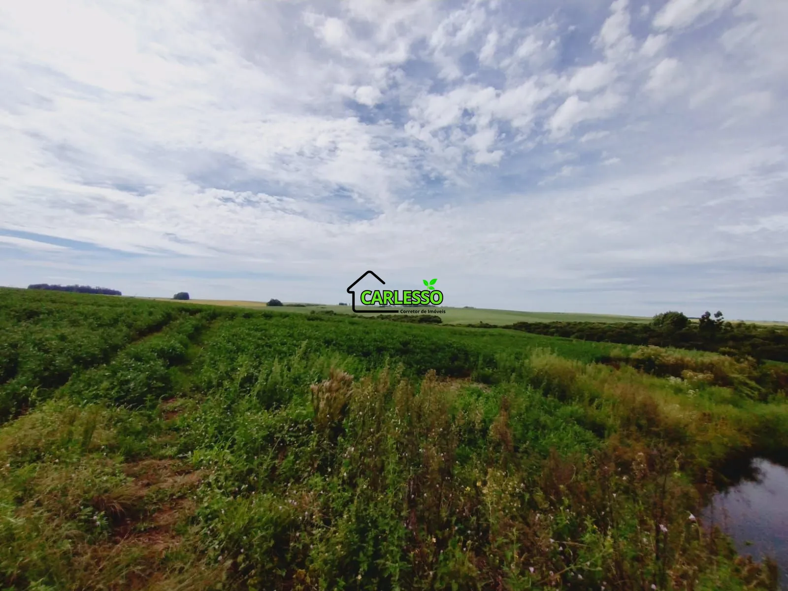 Sítio, 3 quartos, 25 hectares - Foto 32