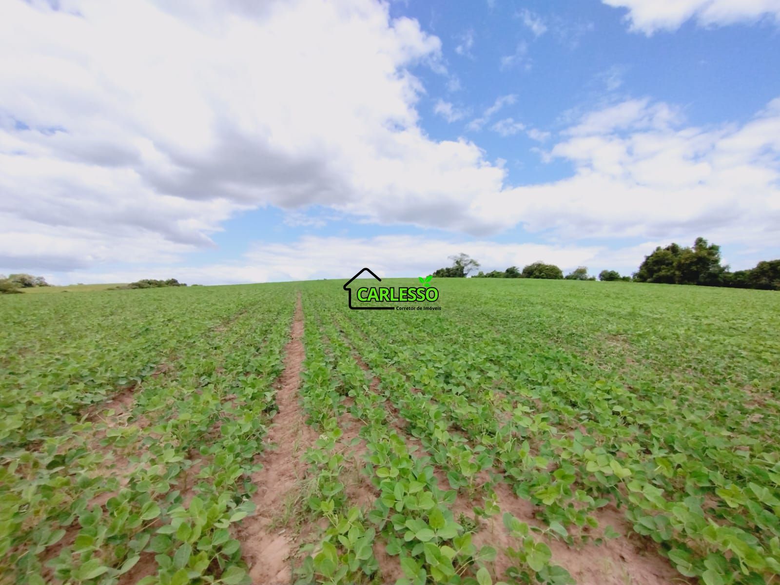 Fazenda/sítio/chácara/haras à venda  no Santa Flora - Santa Maria, RS. Imóveis