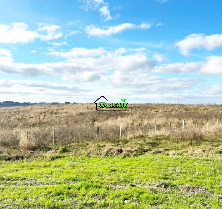 Fazenda, 156 hectares - Foto 10