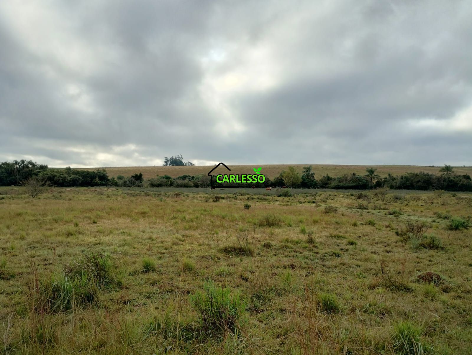 Área rural de frente ao asfalto