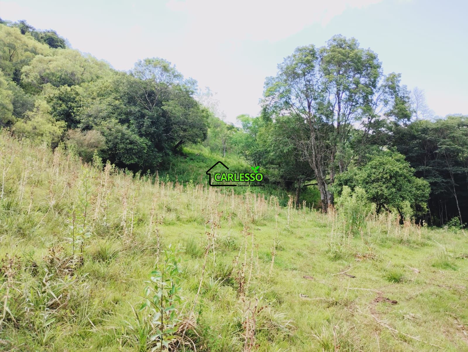 Sítio, 23 hectares - Foto 24