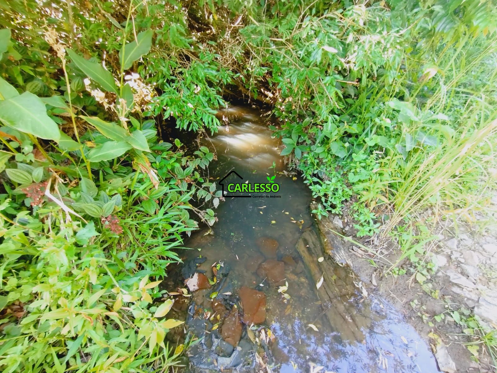 Sítio, 9 hectares - Foto 12