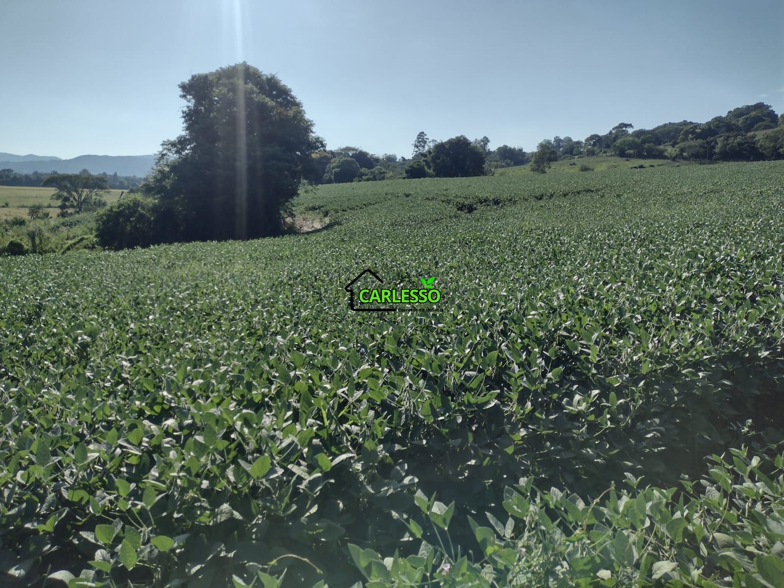 Área de 8,5 ha a venda