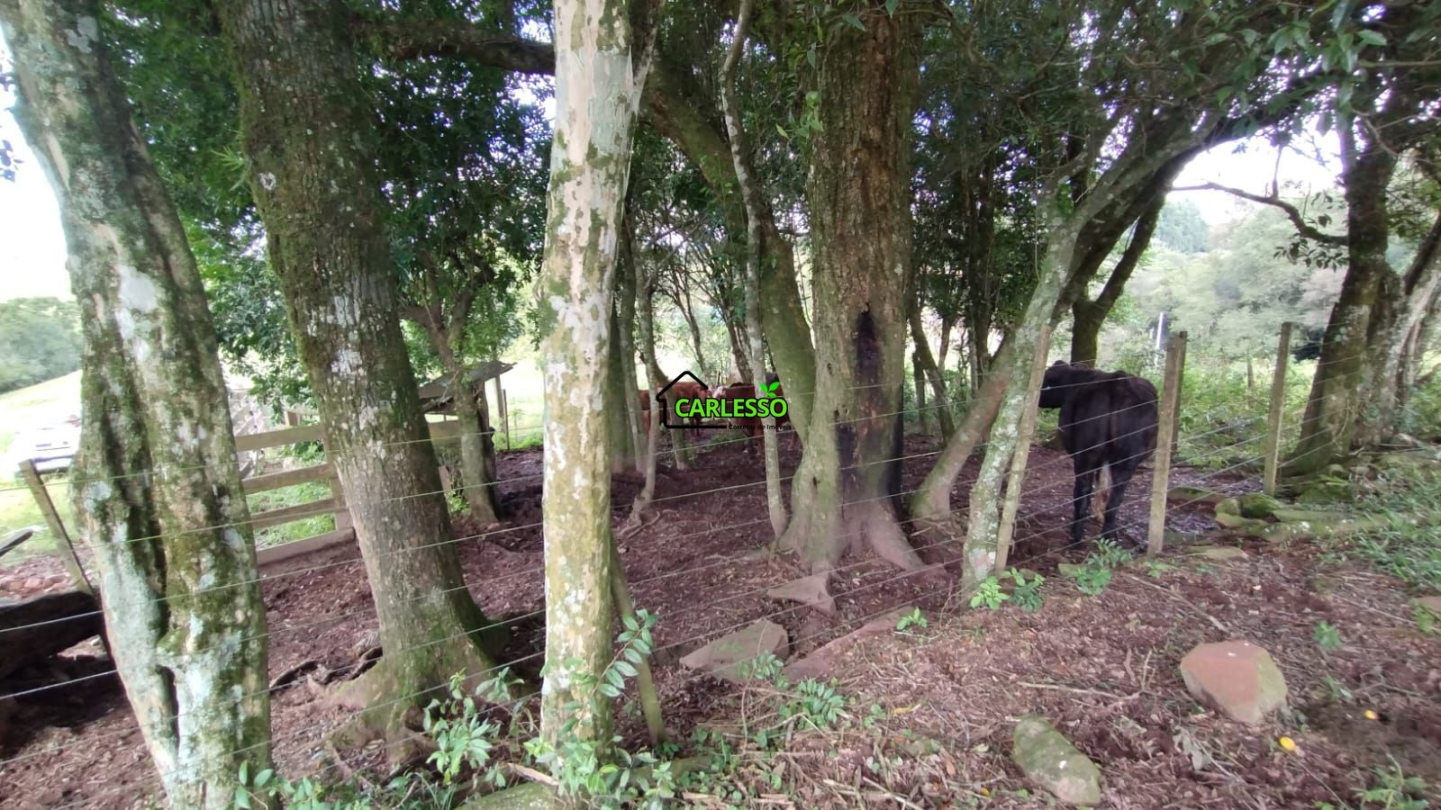 Área rural de 6 ha