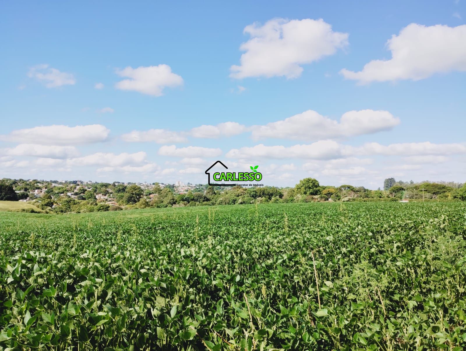 Fazenda/sítio/chácara/haras à venda  no Tamoio - Cruz Alta, RS. Imóveis