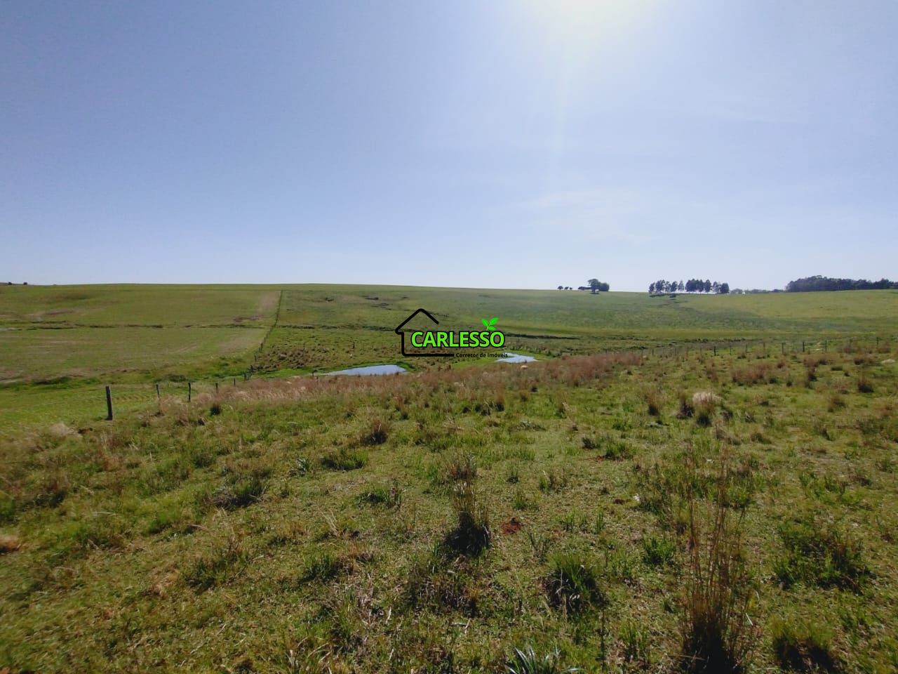 Chácara, 2 quartos, 2 hectares - Foto 52