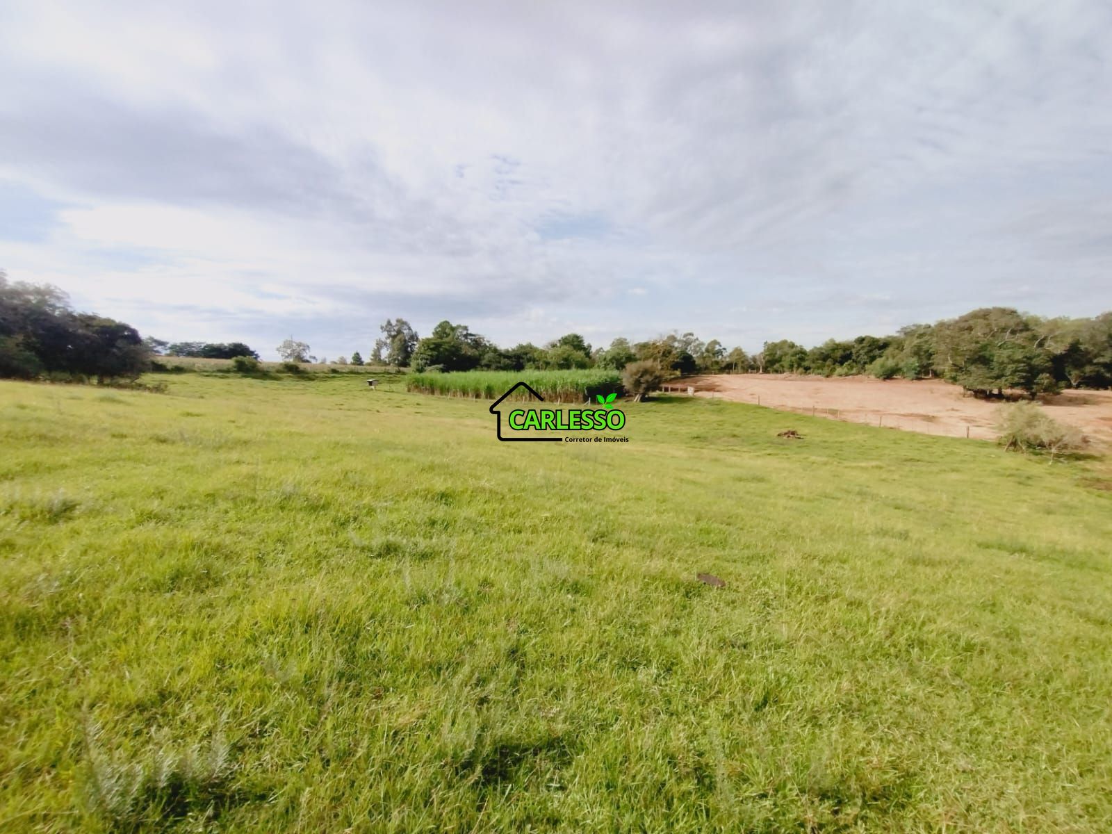 Sítio, 3 quartos, 4 hectares - Foto 44